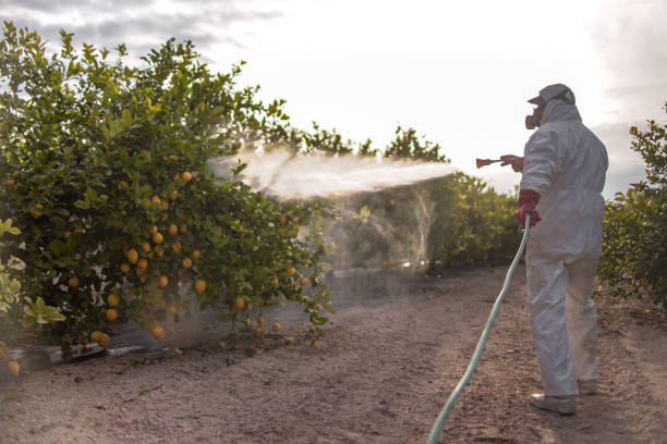 Best Best Pest Control Companies  in Woodbourne, PA